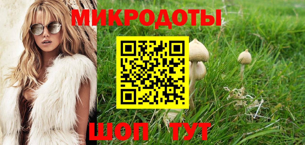 Кинешма  Галлюциногенные грибы MAGIC MUSHROOMS  Вход с VPN 